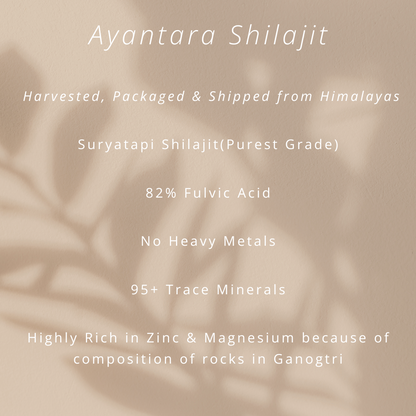 Himalayan Shilajit Resin | Surya Tapi Purified | 100% Pure & 82% Fulvic | From Gangotri Glacier