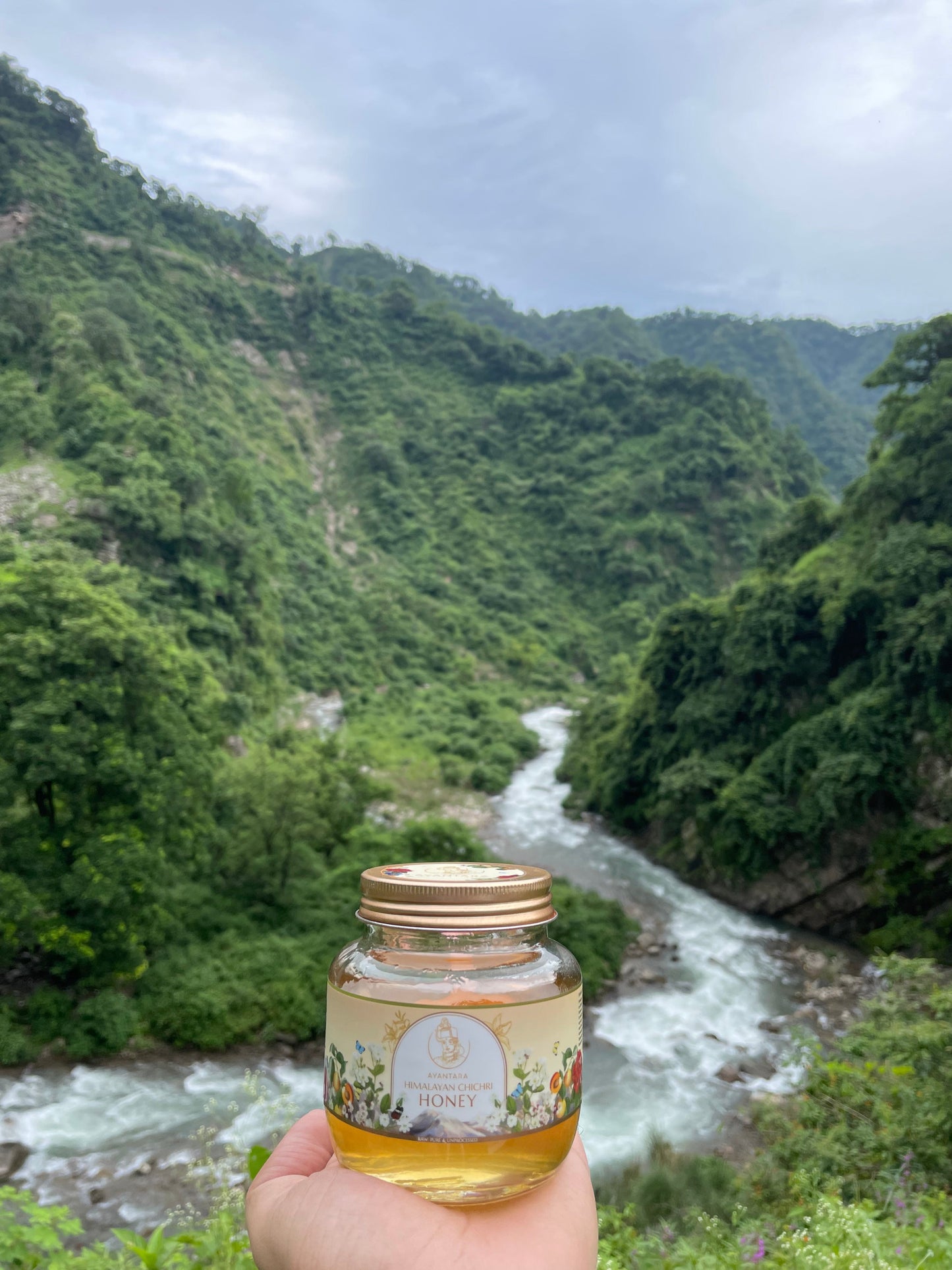 Himalayan Chichri Honey(100% Raw, Pure & Unprocessed) | No Added Sugar