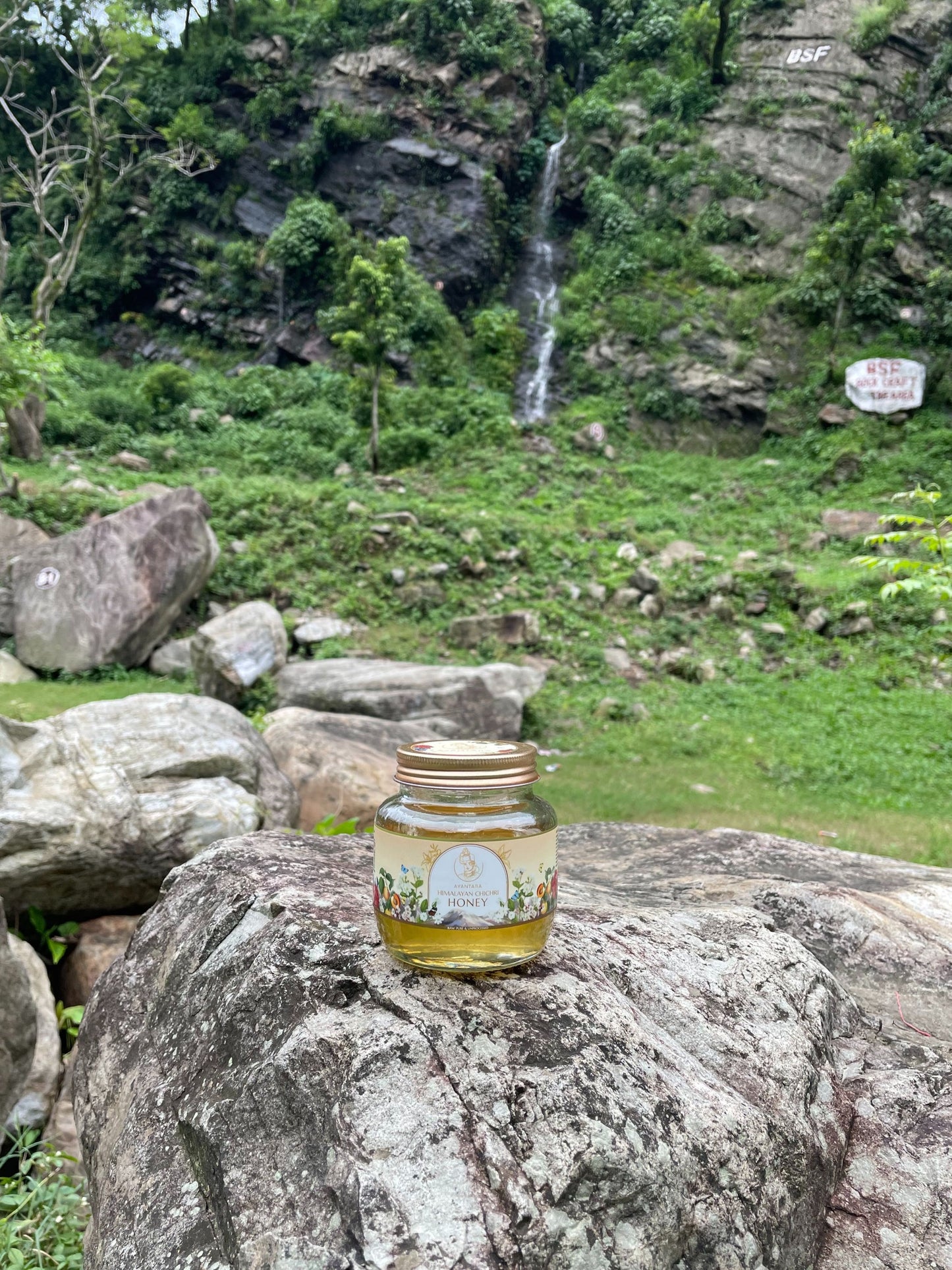 Himalayan Chichri Honey(100% Raw, Pure & Unprocessed) | No Added Sugar